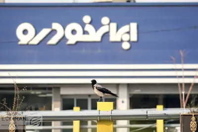 آخرین قیمت خودرو امروز دوشنبه ۱۷ آذر/ این خودروی محبوب امروز ۳۰ میلیون گرانتر شد نتایج قرعهکشی ایرانخودرو: وضعیت خودروی هایما را با کد ملی ببینید