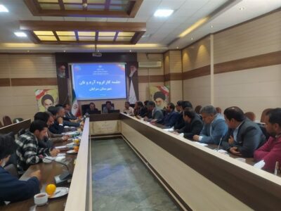 اختصاص 25 تن برنج وارداتی به شهرستان سرایان