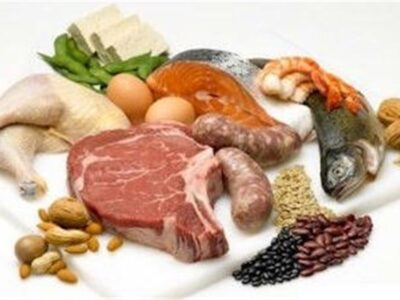 استان سمنان، موتور پروتئین ایران