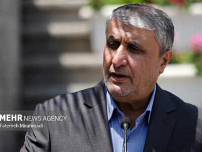 اسلامی: گروسی در زمین دشمن ایفای نقش می‌کند