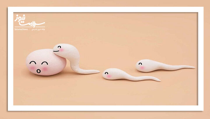 اسپرم می تواند در خون قاعدگی زنده بماند؟