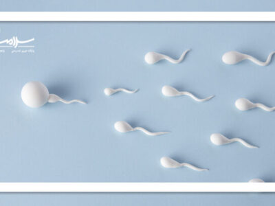 اسپرم چگونه احساس می شود؟