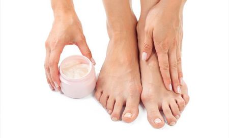 کالبدشکافی کرم‌ها؛ ترکیبات موثر کدامند؟