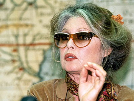 بیوگرافی بریژیت باردو, زندگی‌نامه بریژیت باردو