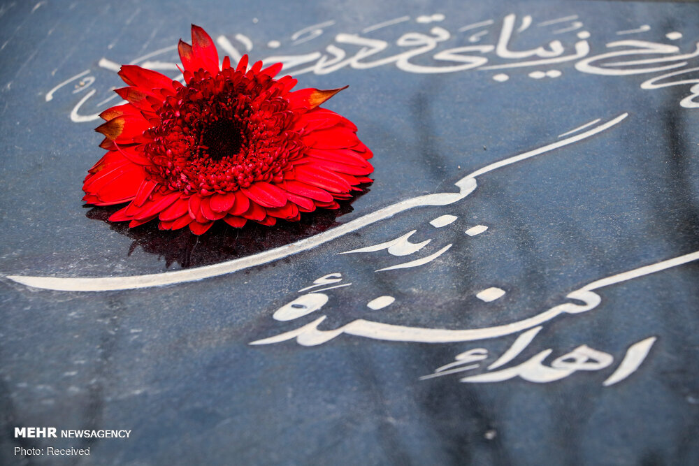 تصمیمی که جان می‌بخشد؛ چرا ثبت رسمی اهدای عضو حیاتی است؟