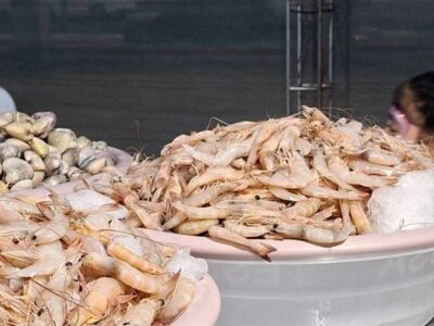 توقیف کامیون یخچال‌دار حامل 1.5 تن میگوی غیرمجاز در بوشهر