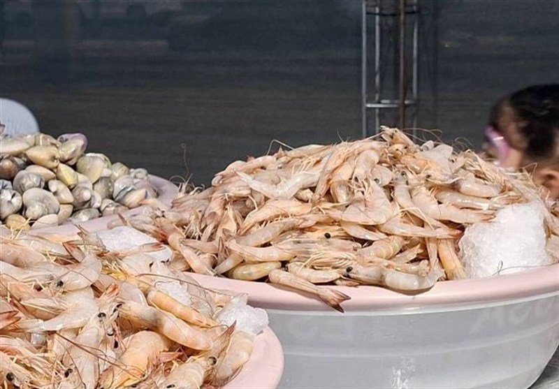 توقیف کامیون یخچالدار حامل 1.5 تن میگوی غیرمجاز در بوشهر