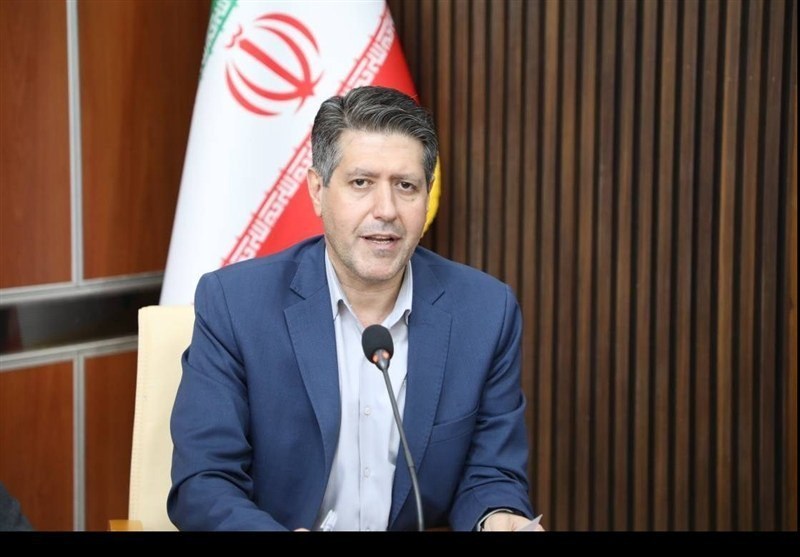 حمایت راهبردی دولت از فعالان فرش دستباف در ایلام