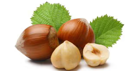 فندق و تامین ویتامین‌های ضروری بارداری