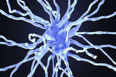 آلزایمر،اخبار پزشکی،خبرهای پزشکی