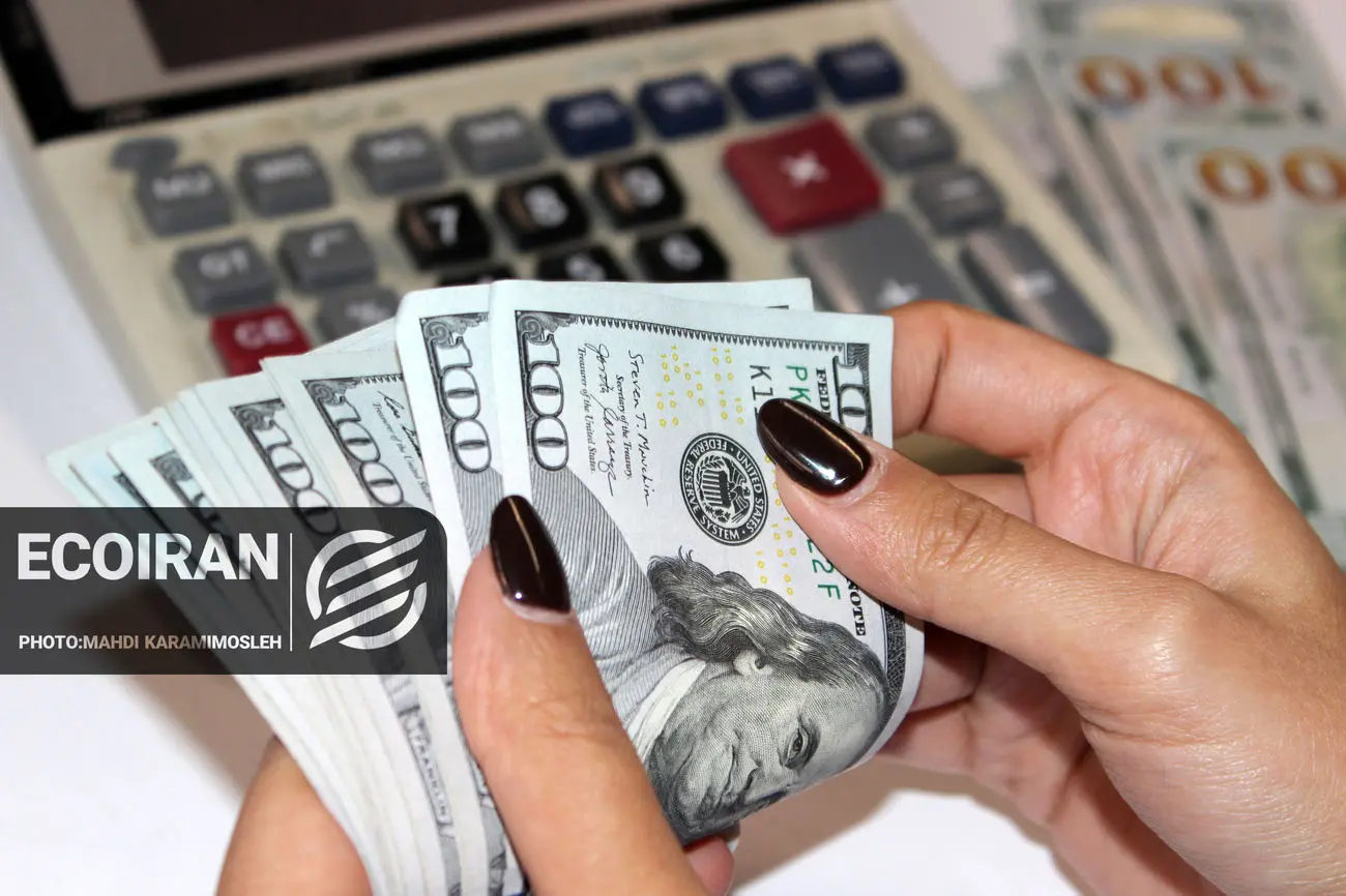 دلار تا کجا افزایشی خواهد بود؟ / پیشبینی مهم یک کارشناس اقتصادی