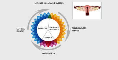 رازهای پنهان در نیمه دوم چرخه قاعدگی: همه چیز درباره فاز لوتئال