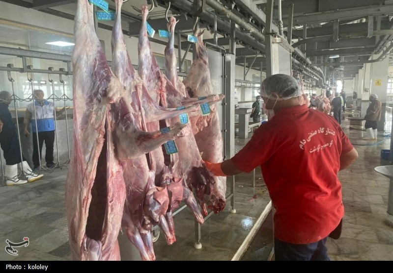 راهاندازی نخستین کشتارگاه صنعتی استان بوشهر به ظرفیت 320 راس دام+تصویر