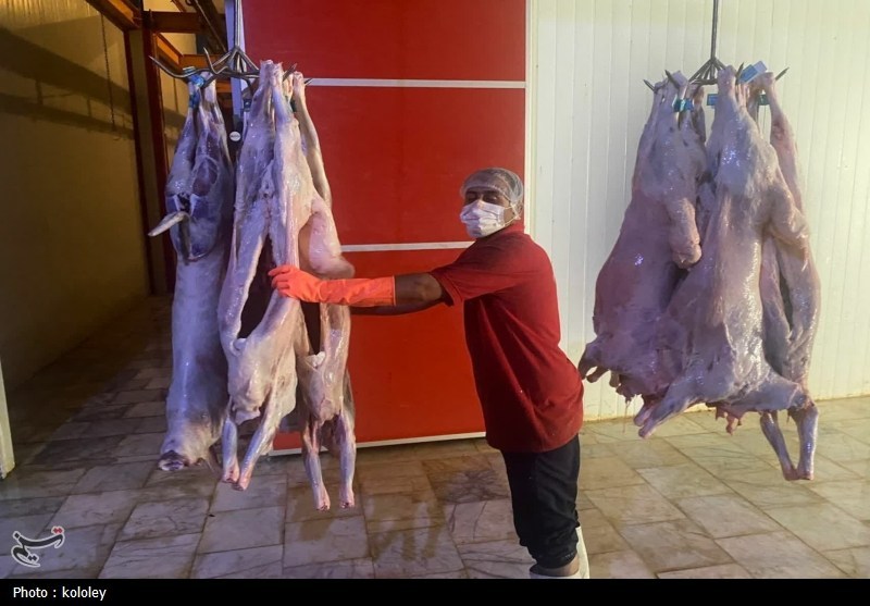 راهاندازی نخستین کشتارگاه صنعتی استان بوشهر به ظرفیت 320 راس دام+تصویر اخبار استان بوشهر , قیمت گوشت , اخبار بوشهر ,