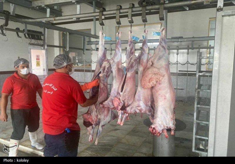 راهاندازی نخستین کشتارگاه صنعتی استان بوشهر به ظرفیت 320 راس دام+تصویر اخبار استان بوشهر , قیمت گوشت , اخبار بوشهر ,