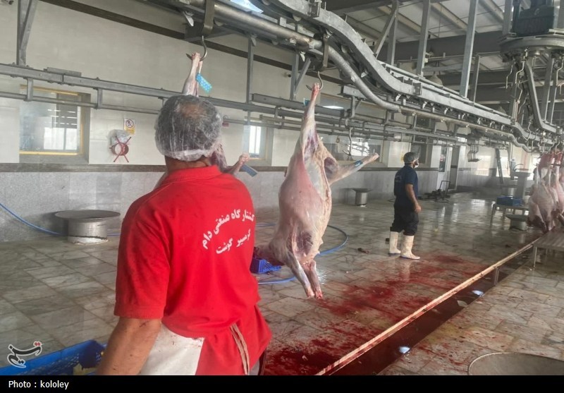 راهاندازی نخستین کشتارگاه صنعتی استان بوشهر به ظرفیت 320 راس دام+تصویر اخبار استان بوشهر , قیمت گوشت , اخبار بوشهر ,