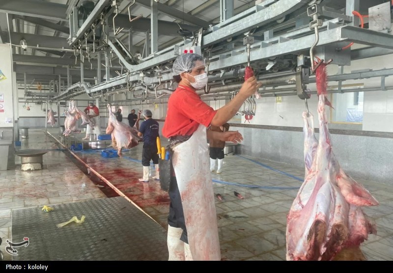 راهاندازی نخستین کشتارگاه صنعتی استان بوشهر به ظرفیت 320 راس دام+تصویر اخبار استان بوشهر , قیمت گوشت , اخبار بوشهر ,