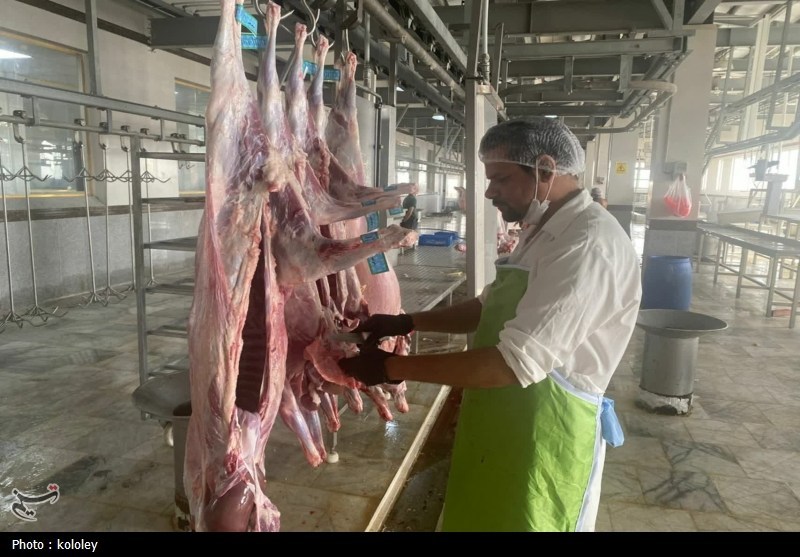 راهاندازی نخستین کشتارگاه صنعتی استان بوشهر به ظرفیت 320 راس دام+تصویر اخبار استان بوشهر , قیمت گوشت , اخبار بوشهر ,