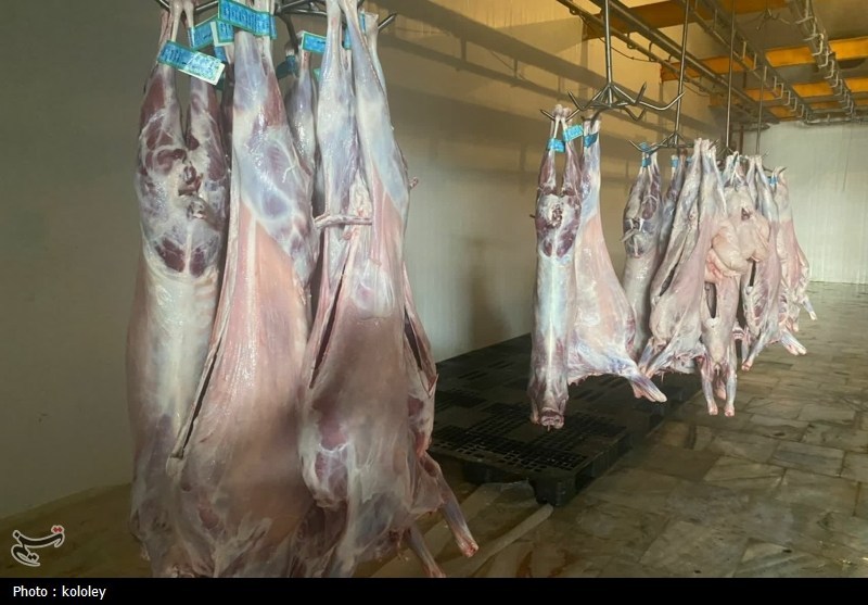 راهاندازی نخستین کشتارگاه صنعتی استان بوشهر به ظرفیت 320 راس دام+تصویر اخبار استان بوشهر , قیمت گوشت , اخبار بوشهر ,