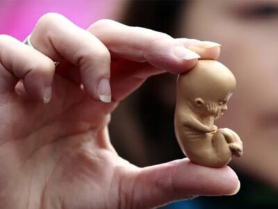 ‌روزانه تا هزار سقط جنین در کشور؛ آماری ۳۰ برابر تلفات تصادفات!