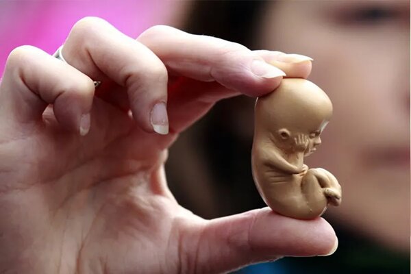 روزانه تا هزار سقط جنین در کشور؛ آماری ۳۰ برابر تلفات تصادفات!