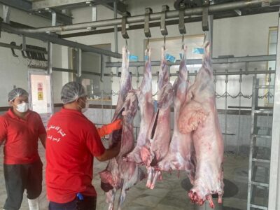 زنجیره سلامت گوشت قرمز در بوشهر زیر ذره‌بین دامپزشکی