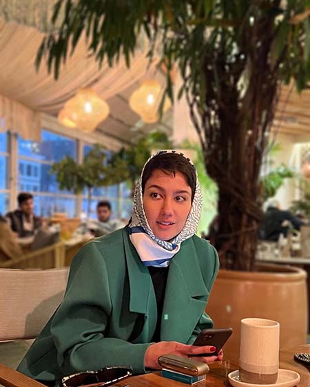 دنیز دانش صمدی, بیوگرافی دنیز دانش صمدی