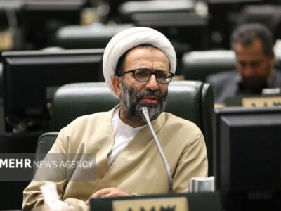 سلیمی: نمی‌توان بر اساس وعده‌های کلی دولت در مورد بودجه تصمیم گرفت