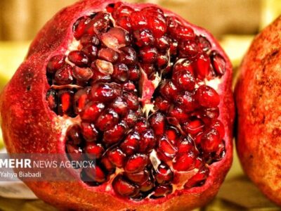 شب یلدا و افزایش قیمت‌ها؛ نبود نظارت بر توزیع بازار همدان را ملتهب کرد