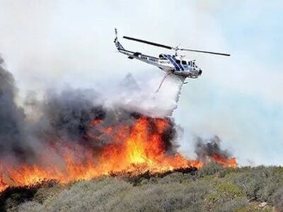 ماهواره خیام مقابل فاجعه جنگل‌های الیت ایستاد