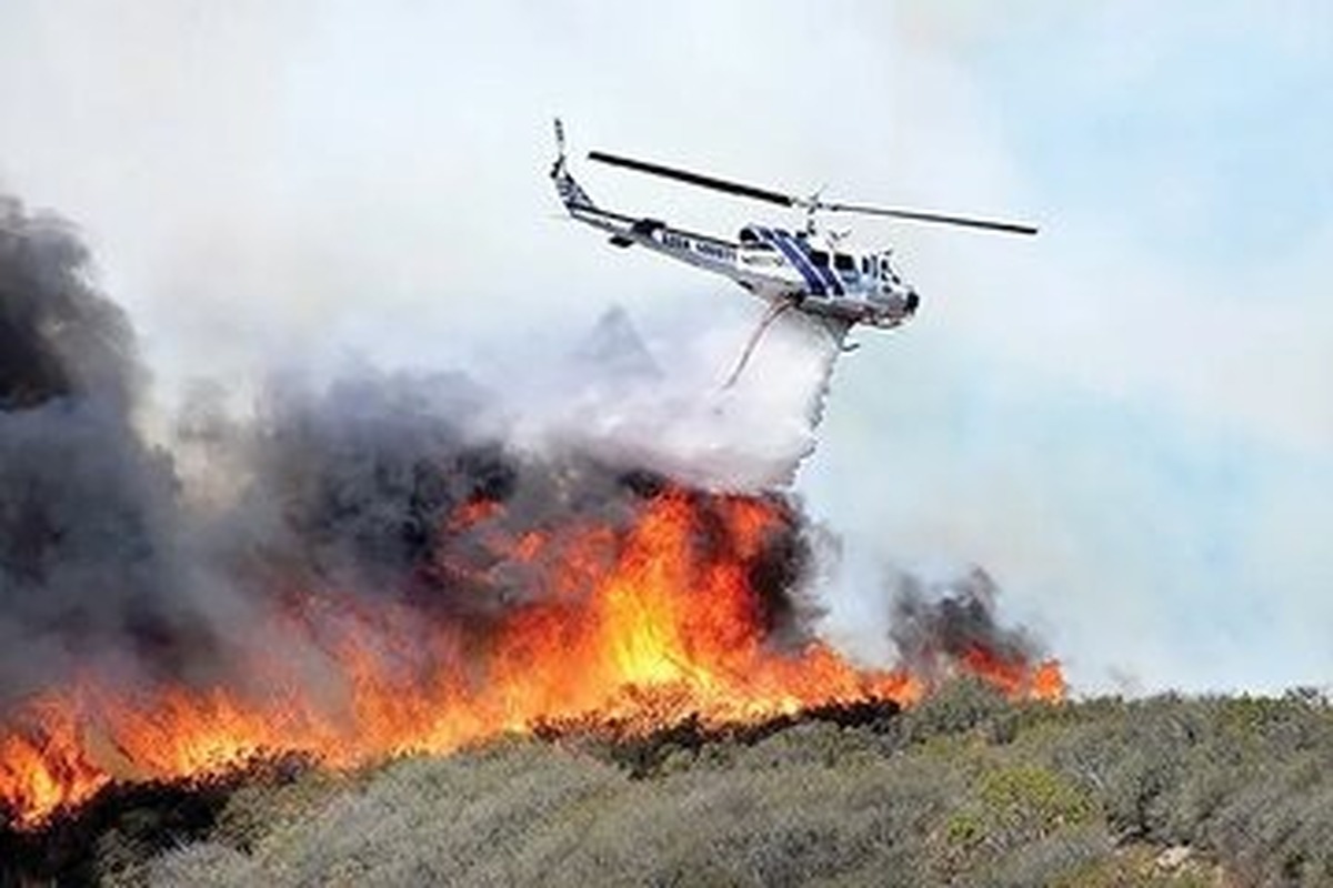 ماهواره خیام مقابل فاجعه جنگلهای الیت ایستاد