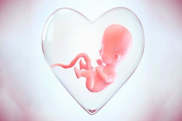 مرکز «نفس» میناب آغاز به کار کرد