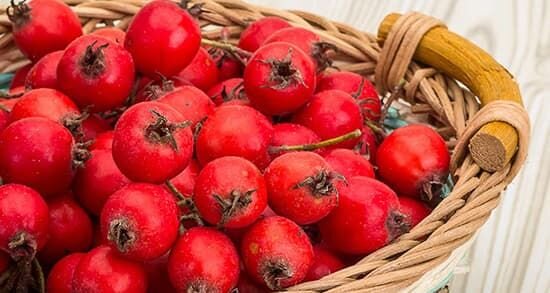 میوهای برای سلامت قلب و آرامش روان میوهای برای سلامت قلب و آرامش روان