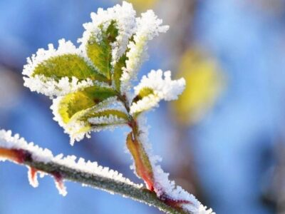 هشدار یخبندان گسترده در ۲۷ استان