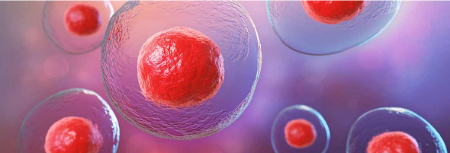 کاهش ذخیره تخمدان, آزمایش ذخیره تخمدان