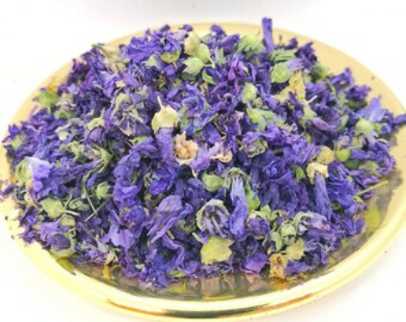 خواص گیاه پنیرک برای زنان, خواص گیاه پنیرک برای عفونت