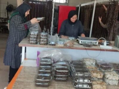 کارآفرینی از دل سنت؛ بانویی که اشتغال را به فرهنگ بومی گره زد