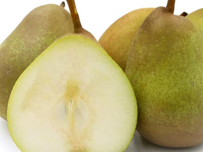 کاشت درخت گلابی: راهنمای قدم‌به‌قدم برای موفقیت در باغبانی