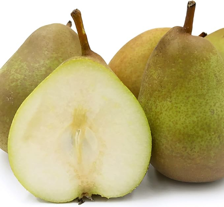 کاشت درخت گلابی: راهنمای قدم‌به‌قدم برای موفقیت در باغبانی