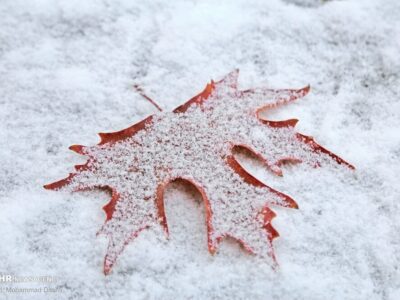 گزارش هواشناسی کشور در ۳۰ آذر ۱۴۰۴ / هشدار فوری هواشناسی صادر شد