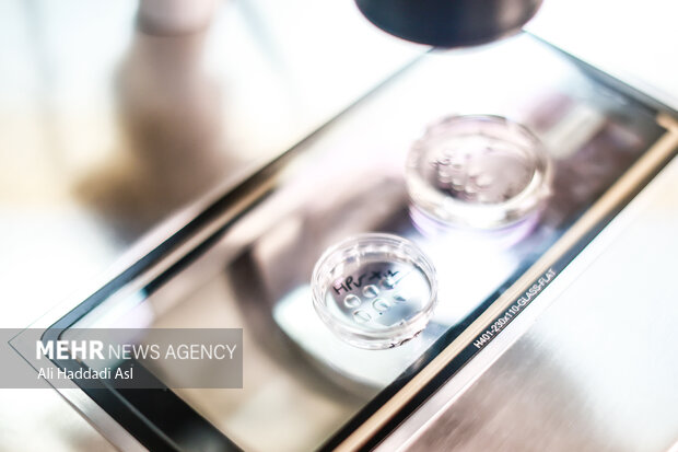 ۲۷۰۰ نفر از زوجین نابارور مازندران در سامانه ثبت نام کردند