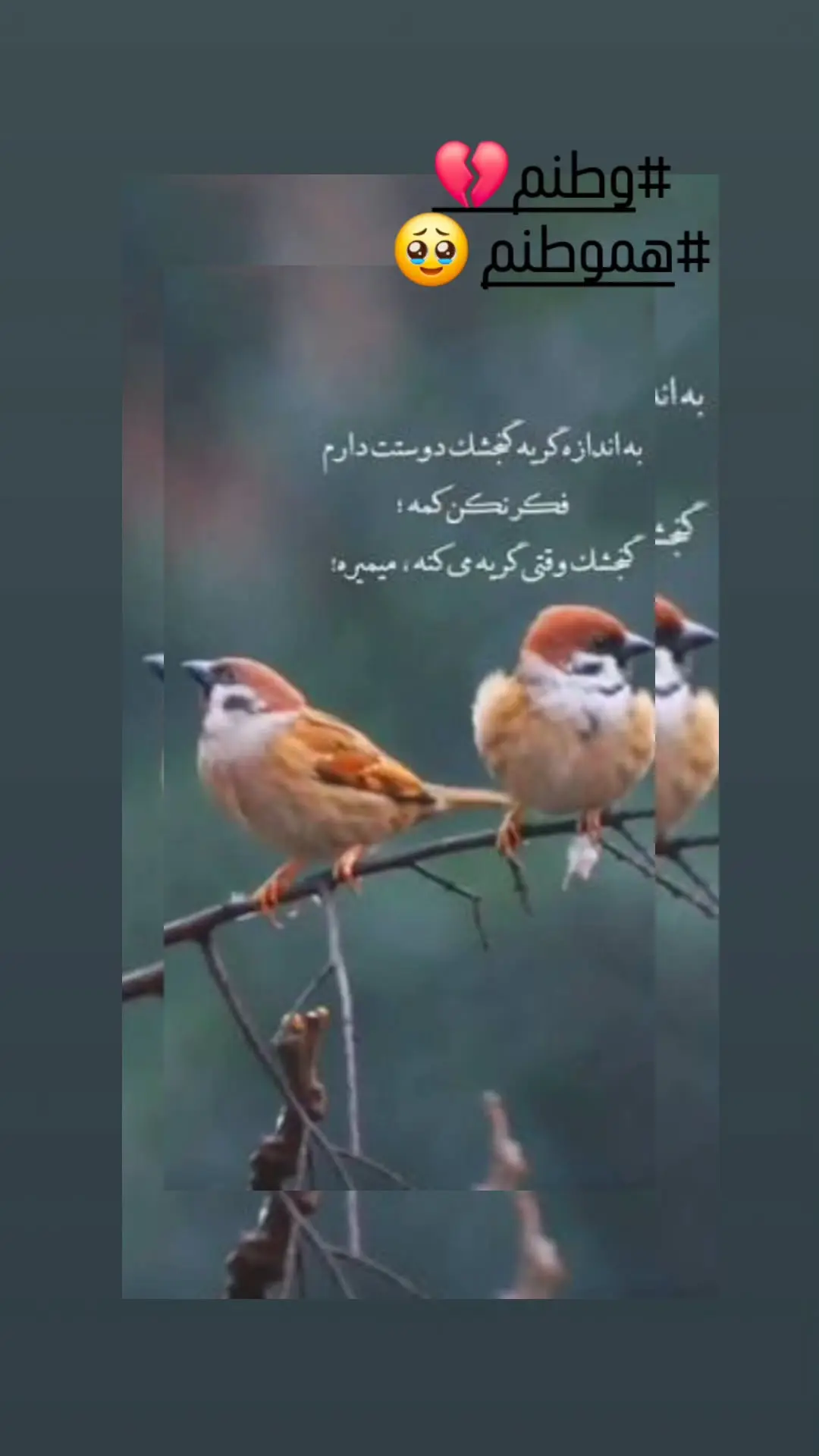 استوری احساسی مرجانه گلچین به مردم در روزهای سخت استوری احساسی مرجانه گلچین به مردم در روزهای سخت