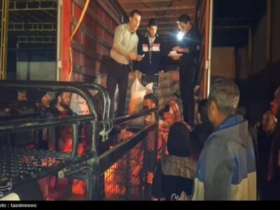 ‌بذر گندم به دست کشاورزان کهگیلویه رسید