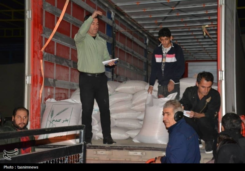 بذر گندم به دست کشاورزان کهگیلویه رسید کشاورزی , اخبار کهگیلویه ,