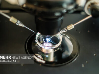 تأثیر مصرف دخانیات و الکل بر بارداری و موفقیت IVF