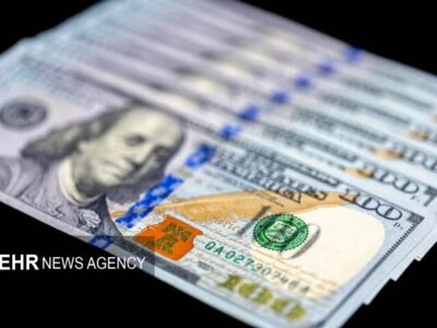 تصمیمات شتاب‌زده درباره ارز ترجیحی منجر به کاهش انگیزه تولید می‌شود
