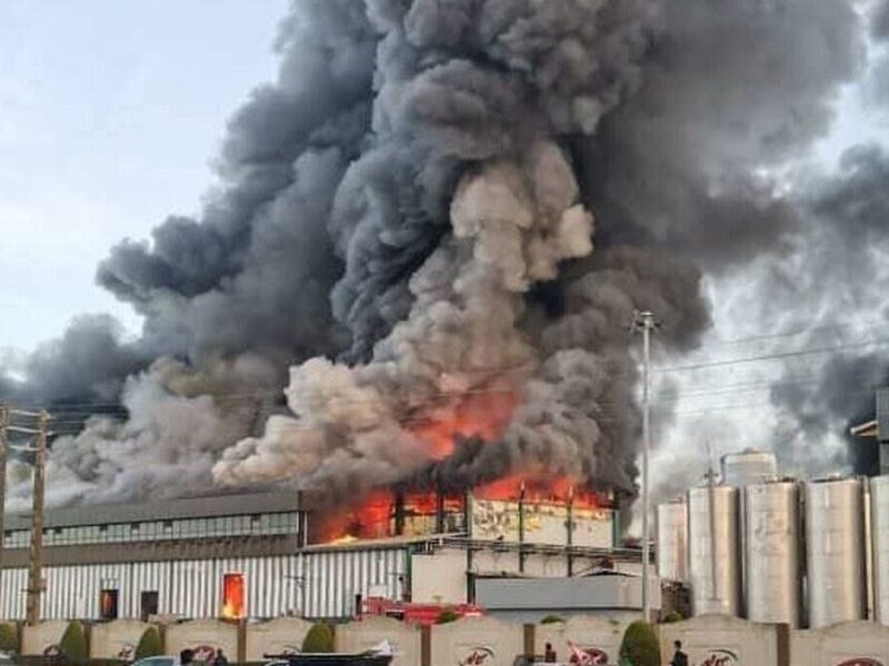 جزئیات جدید از آتش سوزی هولناک در کارخانه کاله آمل