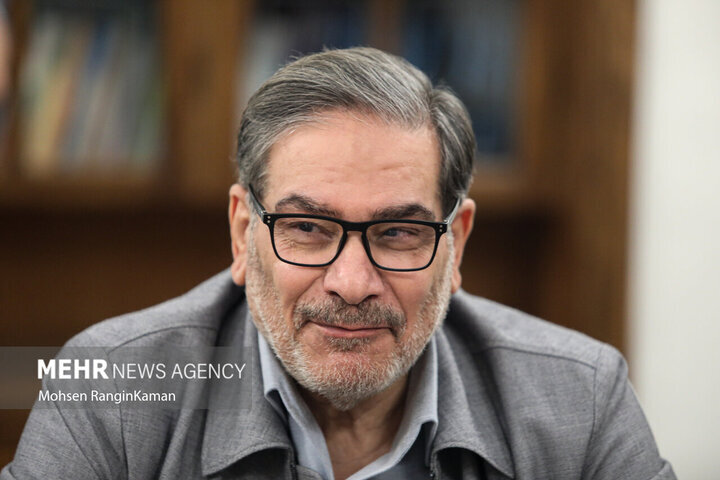 شمخانی: دست مداخلهگر پیش از رسیدن قطع خواهد شد