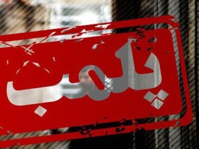 صیادی: ۴ بنگاه املاک متخلف در الهیه پلمب شد
