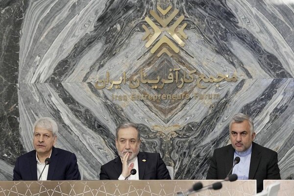 عراقچی: وزارت خارجه همکاری با شرکای خارجی را تسهیل میکند